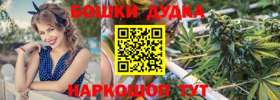 шишки Бийск