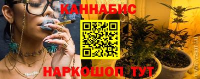 шишки Бийск
