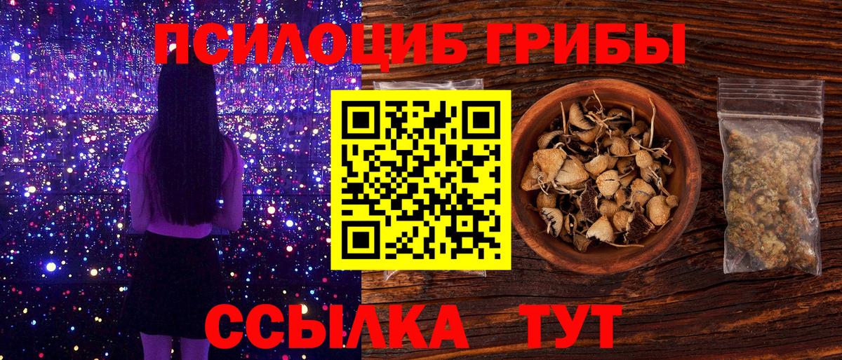 Псилоцибиновые грибы Psilocybe Когалым
